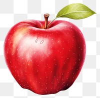 PNG Apple fruit plant food, digital paint illustration. 