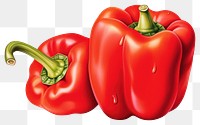 PNG Vegetable pepper plant food, digital paint illustration.