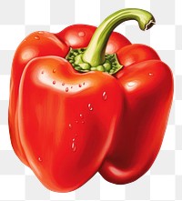 PNG Vegetable pepper plant food, digital paint illustration. AI generated image