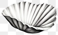 PNG Shell clam white background invertebrate. AI generated Image by rawpixel.