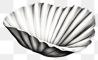 PNG Shell clam invertebrate. 