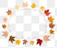 PNG Maple plant leaf celebration. AI generated Image by rawpixel.
