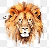 PNG Mammal animal lion white background