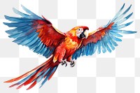 PNG Animal parrot macaw bird. 