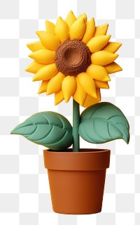 PNG Sunflower blossom plant representation. 