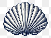 PNG Drawing sketch shell clam. 