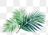 PNG Backgrounds plant leaf tree