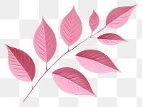 PNG Plant leaf appliance pattern. AI generated Image by rawpixel.