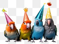 PNG Bird animal parrot party. AI generated Image by rawpixel.