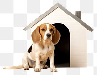 PNG Dog animal beagle mammal. AI generated Image by rawpixel.