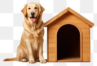 PNG Dog retriever animal mammal. AI generated Image by rawpixel.