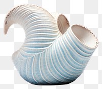 PNG Porcelain seashell pottery art. 