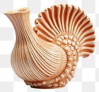 PNG Pottery seashell art invertebrate. 