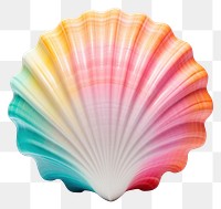 PNG Seashell clam invertebrate. 