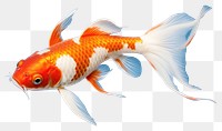 PNG Goldfish animal pomacentridae underwater. AI generated Image by rawpixel.