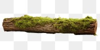 PNG Plant tree moss nature