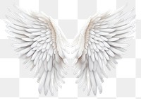 PNG Angel bird archangel feather. 