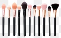 PNG Brush cosmetics tool arrangement. 