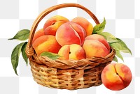 PNG Basket peach apple fruit. 