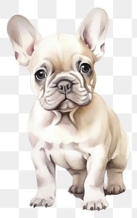 PNG Bulldog animal mammal pet. AI generated Image by rawpixel.