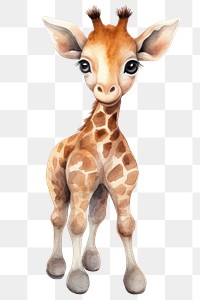 PNG Giraffe wildlife animal mammal. 