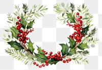 PNG Wreath christmas plant white background. AI generated Image by rawpixel.