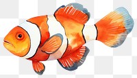 PNG Goldfish animal pomacentridae pomacanthidae. AI generated Image by rawpixel.