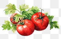 PNG Food vegetable parsley tomato. AI generated Image by rawpixel.