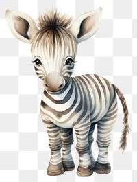 PNG Zebra wildlife animal mammal. 
