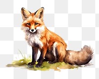 PNG Wildlife animal mammal fox. AI generated Image by rawpixel.