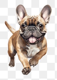 PNG Bulldog animal mammal pet. AI generated Image by rawpixel.