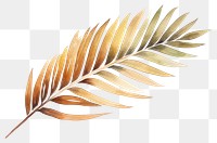 PNG Leaf plant palm leaf pattern. AI generated Image by rawpixel.