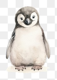 PNG Wildlife penguin animal mammal. AI generated Image by rawpixel.