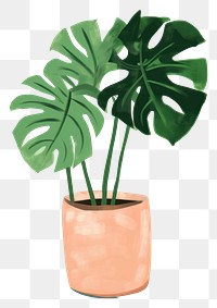 PNG Plant houseplant leaf freshness. 