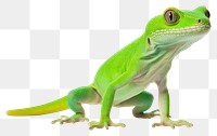 PNG Reptile animal lizard gecko. AI generated Image by rawpixel.