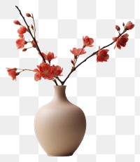 PNG Blossom flower plant vase.