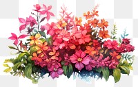 PNG Flower plant petal art transparent background