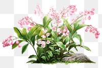 Flower orchid plant petal. AI generated Image by rawpixel.