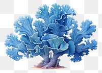PNG Coral, digital paint illustration. AI generated image