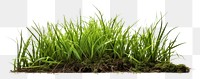 PNG Outdoors nature grass plant