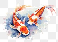 PNG Fish koi animal underwater. 