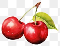 PNG Cherry fruit apple plant. 