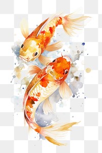 PNG Animal fish koi underwater. 