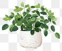 PNG Plant herbs leaf vase. 