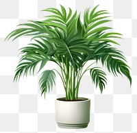 PNG Plant leaf houseplant freshness. AI generated Image by rawpixel.