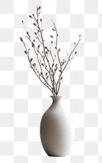 PNG Flower plant vase decoration