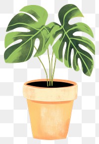 PNG Plant houseplant leaf flowerpot. 