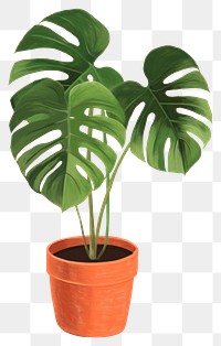 PNG Plant houseplant leaf freshness transparent background