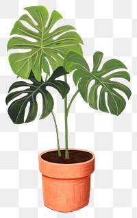 PNG Plant houseplant leaf freshness transparent background