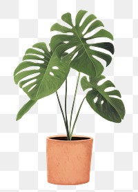 PNG Plant houseplant leaf flowerpot. 